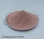 Organic Pomegranate Powder (ผงทับทิม ออร์แกนิค) - Image 2