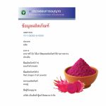 Red Dragon Fruit Powder - Image 2