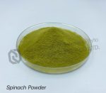 Spinach Powder - Image 2