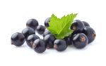 Blackcurrant Powder - Image 2